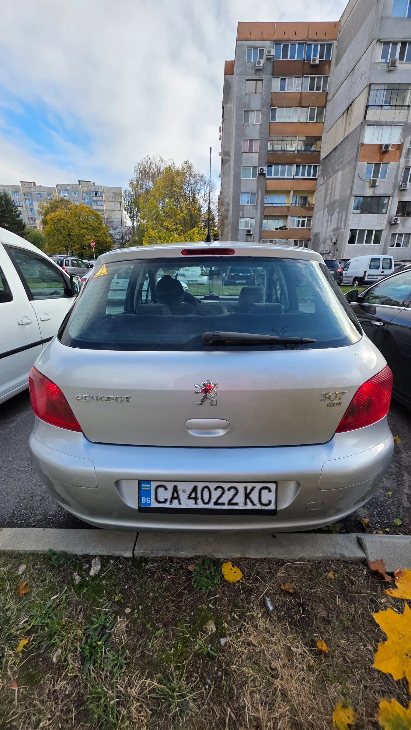 Peugeot 307 2.0HDI - изображение 4