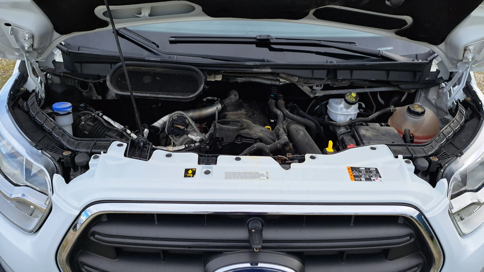 Ford Transit MAXI/��������/������/���������/EURO6 | Mobile.bg � ����������� 16