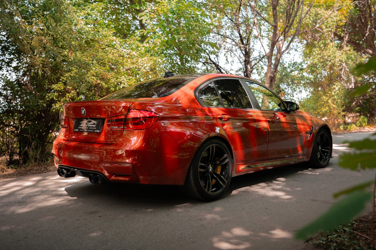 BMW M3 30 JAHRE EDITION  - изображение 6