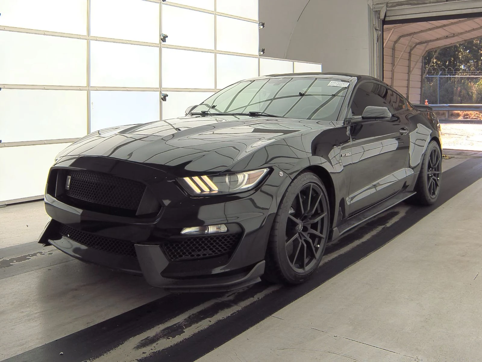 Ford Mustang GT350 - изображение 3