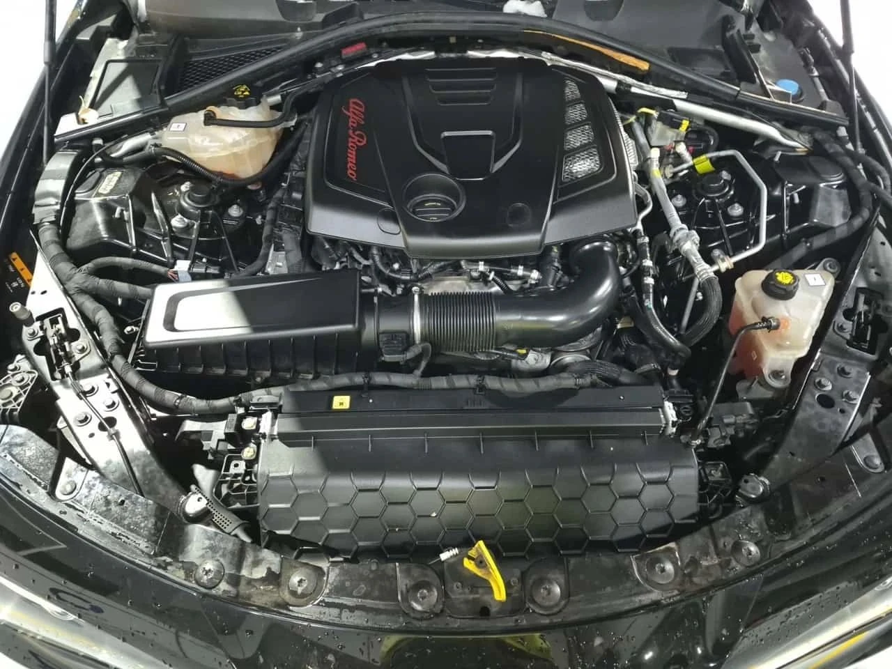 Alfa Romeo Giulia, снимка 17 - Автомобили и джипове - 56707154