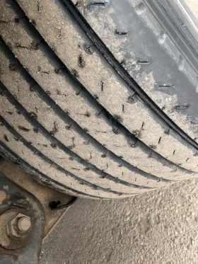 Полуремарке Krone MEGA, снимка 6