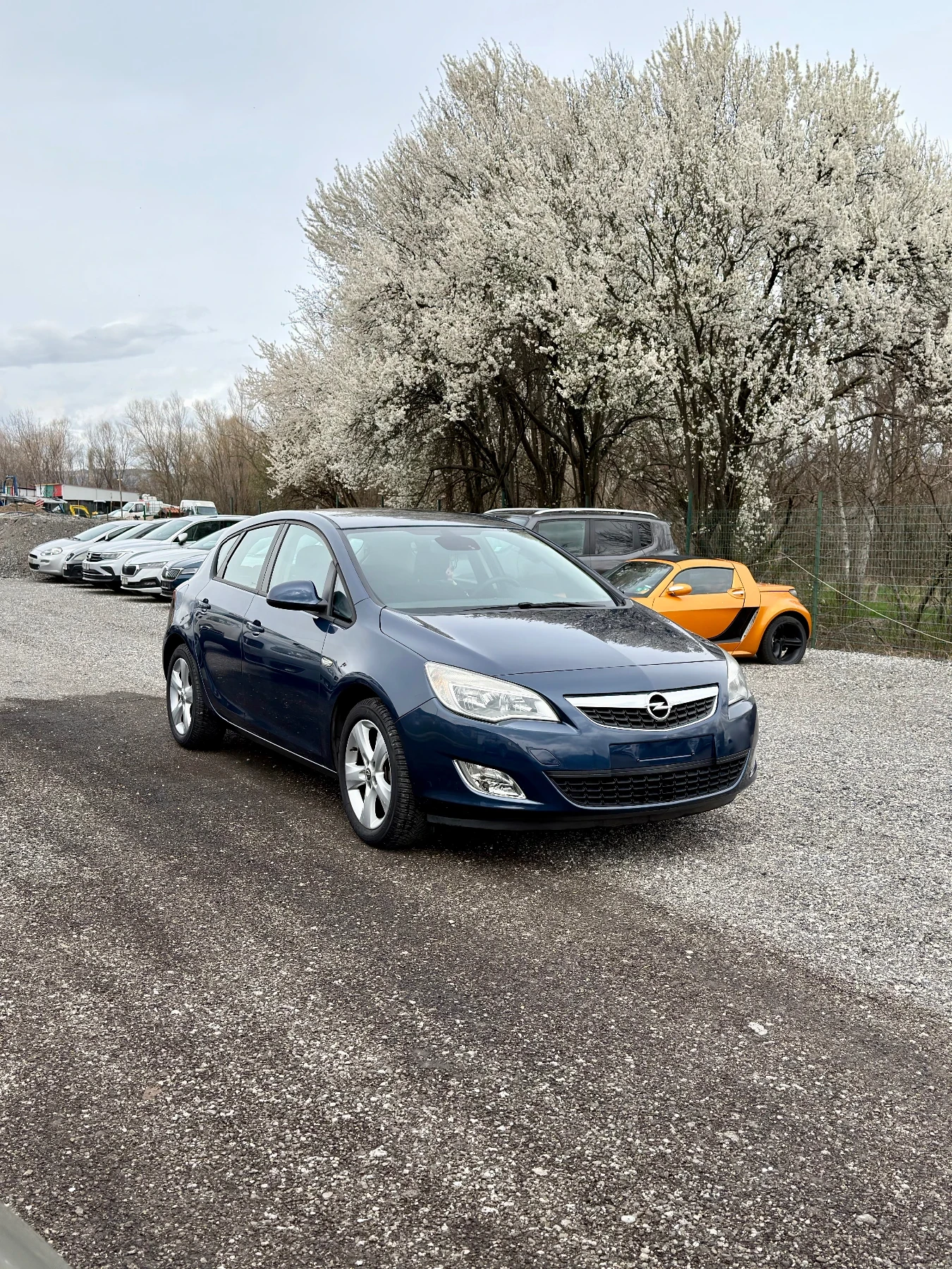 Opel Astra 1.4 101���� Cosmo ����5 101.400�.��! | Mobile.bg � ����������� 3