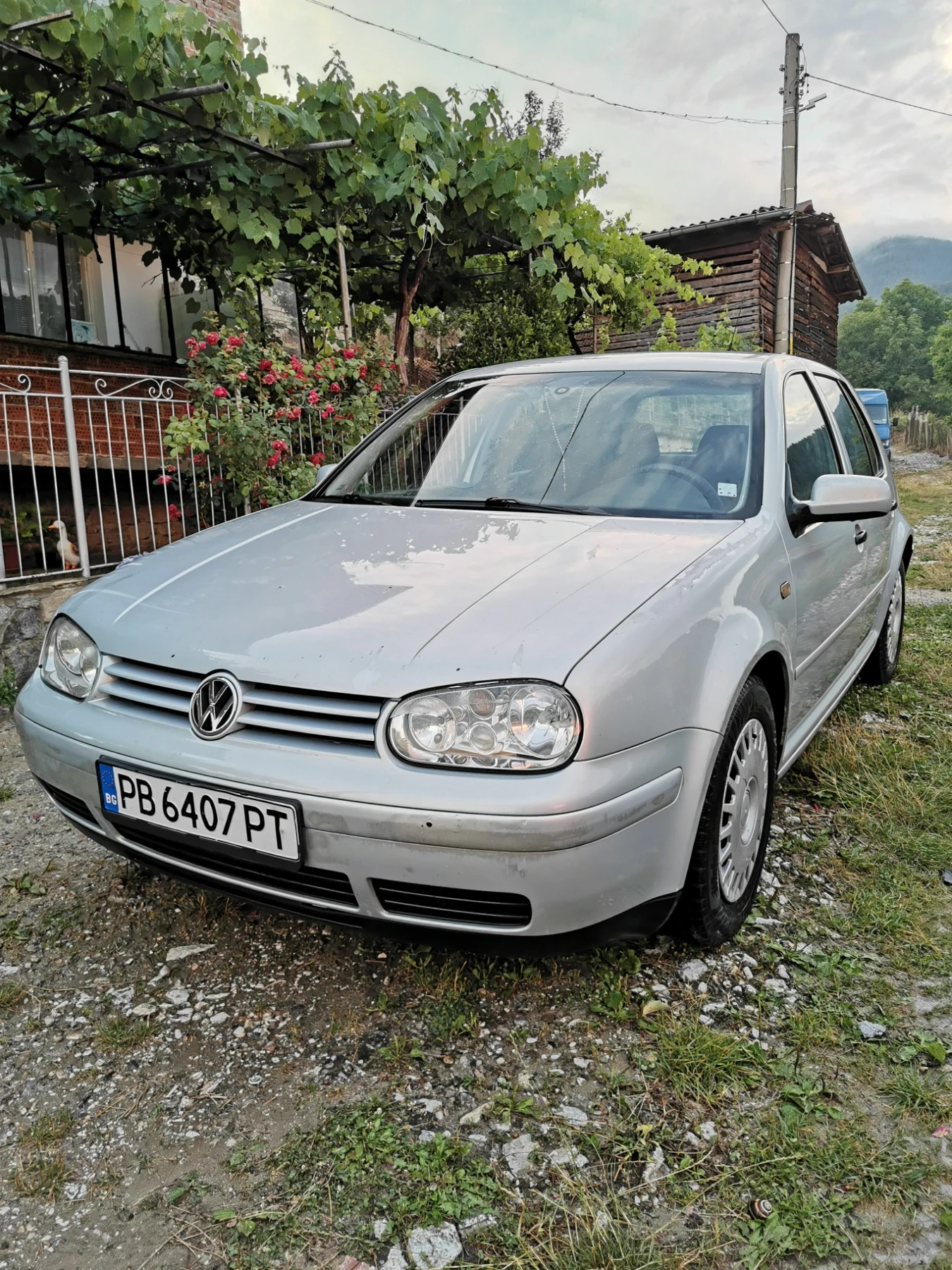 VW Golf