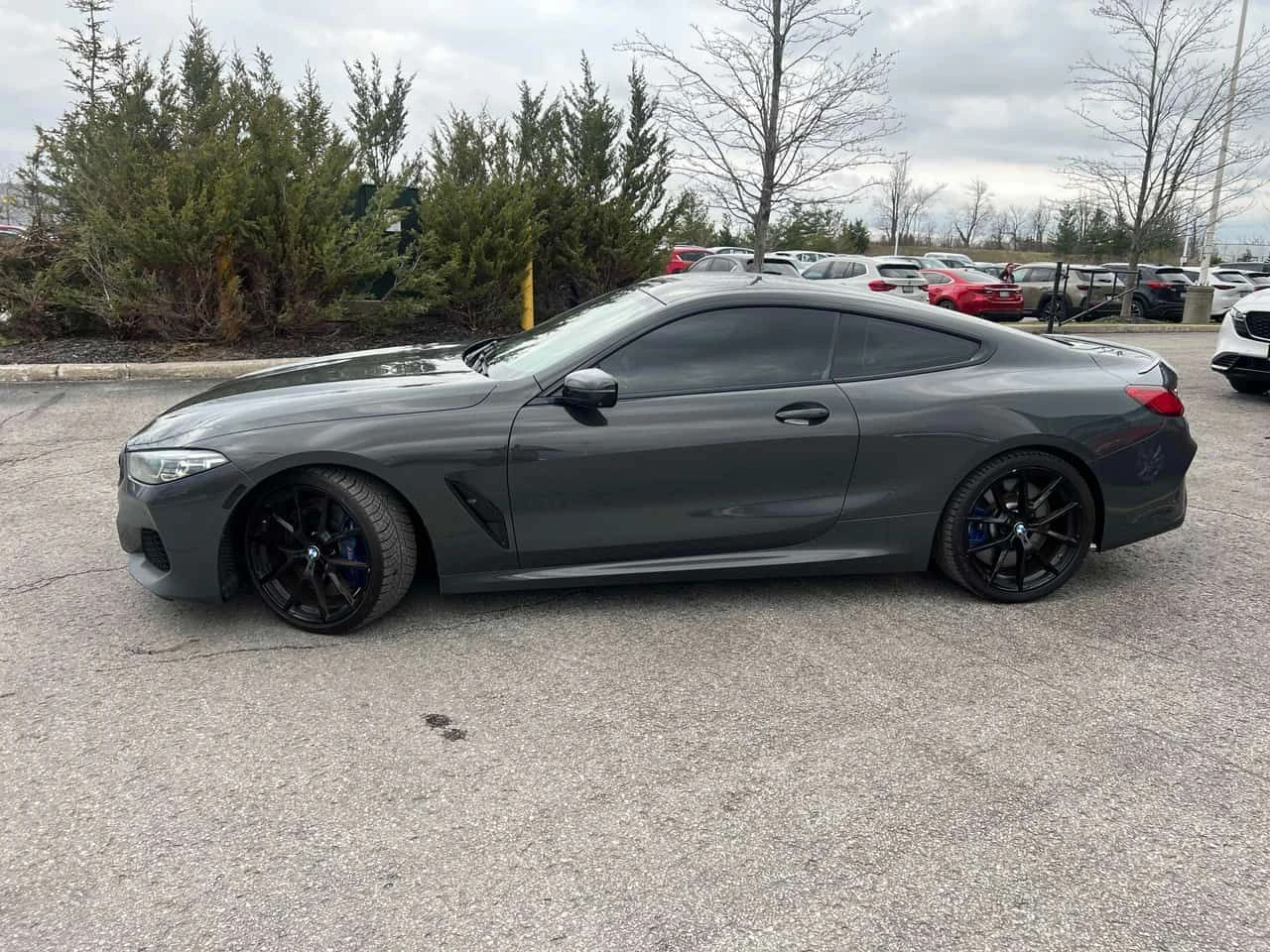 BMW 850 xDrive * ��������� * 360 * ��������� * �������  | Mobile.bg � ����������� 3