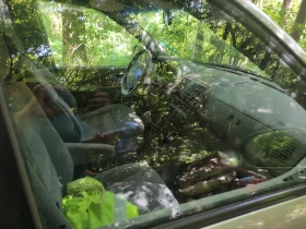 Kia Carnival LX, снимка 8