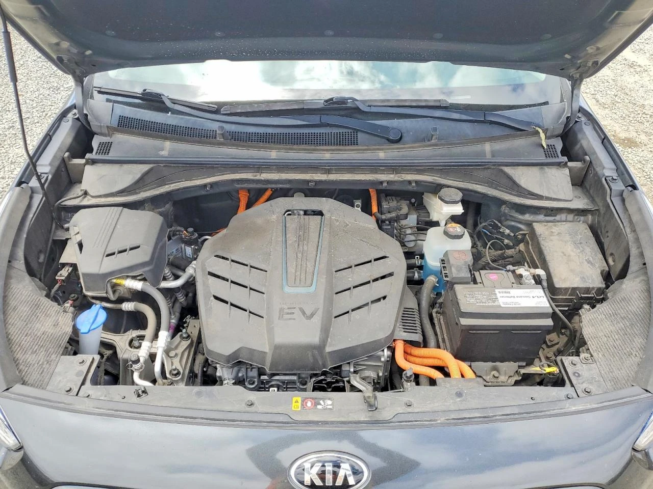 Kia Niro EX, снимка 11 - Автомобили и джипове - 56057998