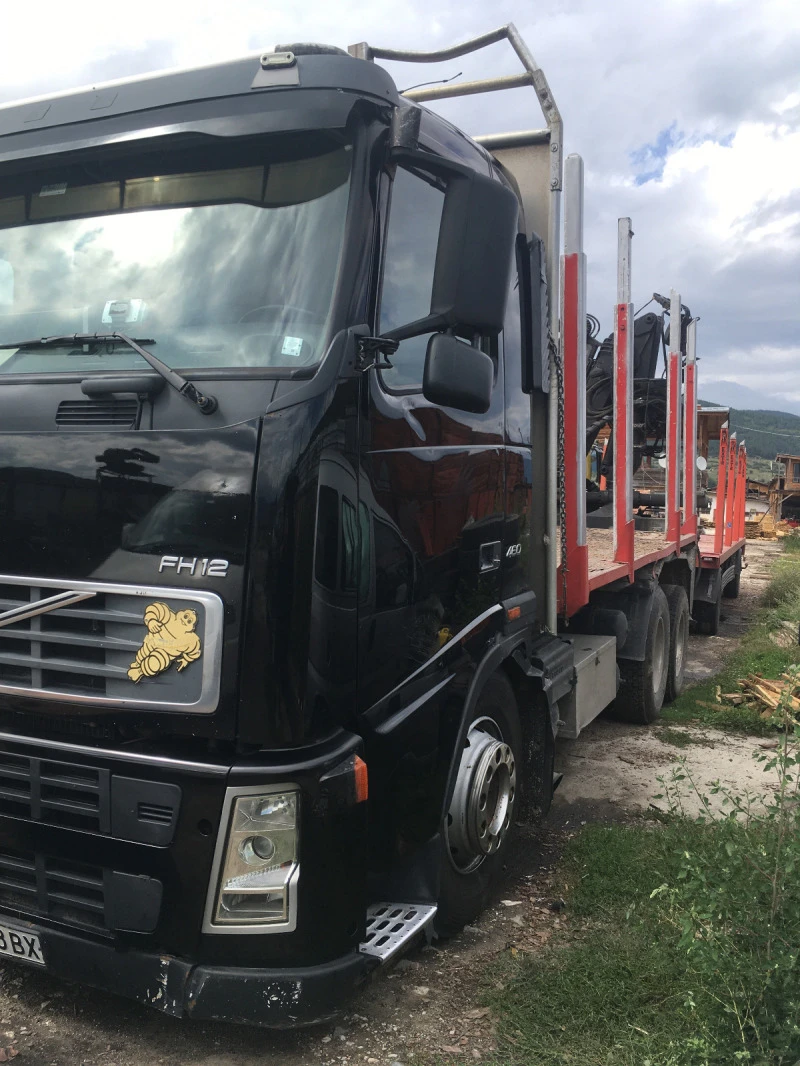 Volvo Fh 12 Кран, снимка 1 - Камиони - 46613514