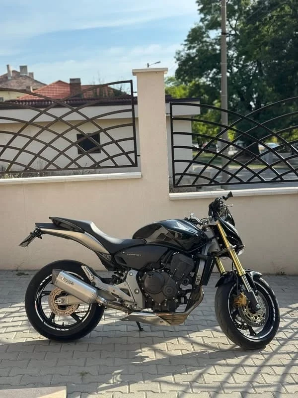 Honda Hornet