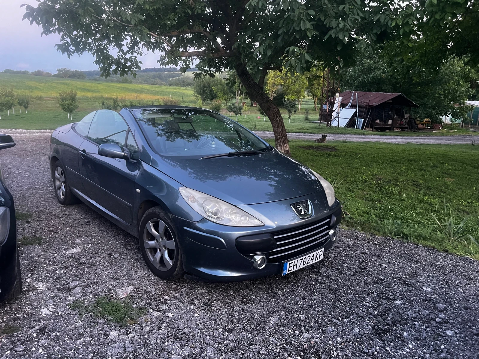 Peugeot 307 ���� 307 cc ������ | Mobile.bg � ����������� 4