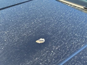 VW Taos * Comfortline * CARFAX * ЦЕНА ДО БГ - 39450 лв. / 20170.46 € - 50909351 6