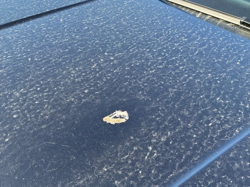 VW Taos * Comfortline * CARFAX * ЦЕНА ДО БГ, снимка 6 - Автомобили и джипове - 52893421