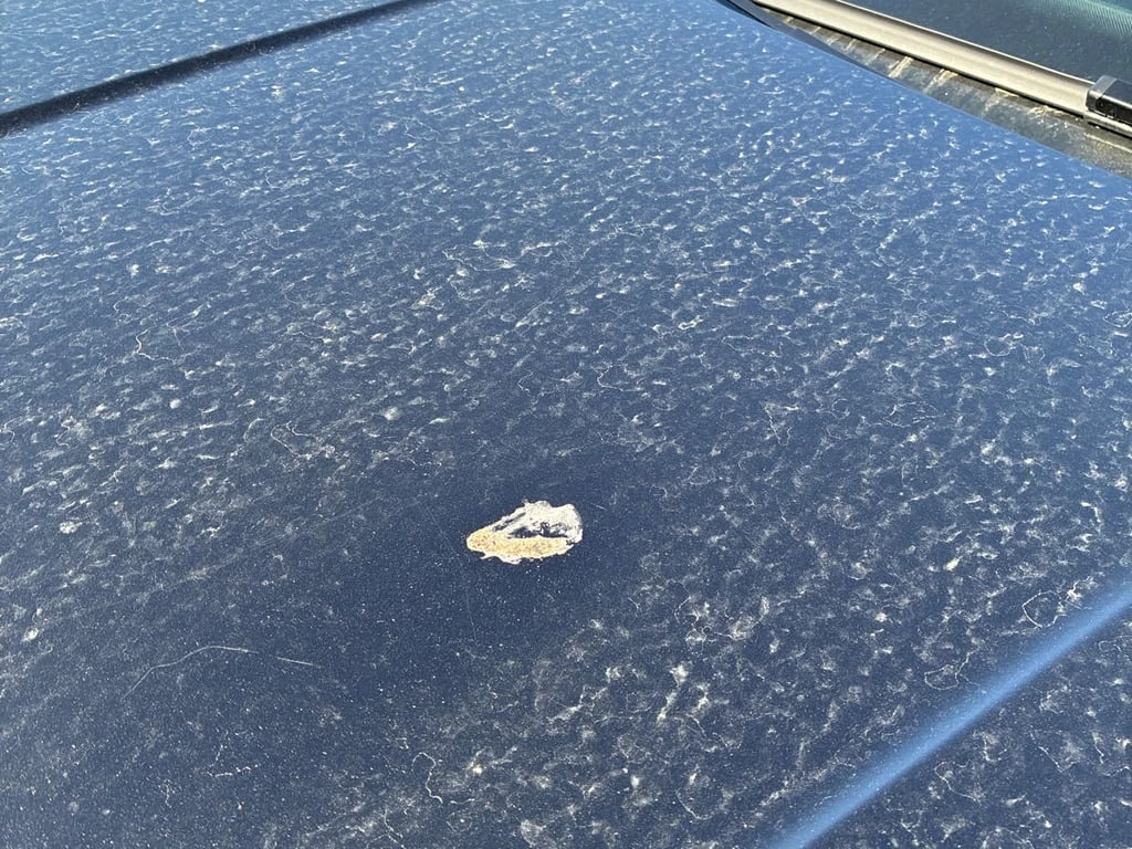 VW Taos * Comfortline * CARFAX * ���� �� �� | Mobile.bg � ����������� 6