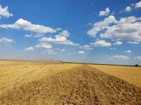 Брана Agrokalina DEREX - Иглена брана, снимка 8