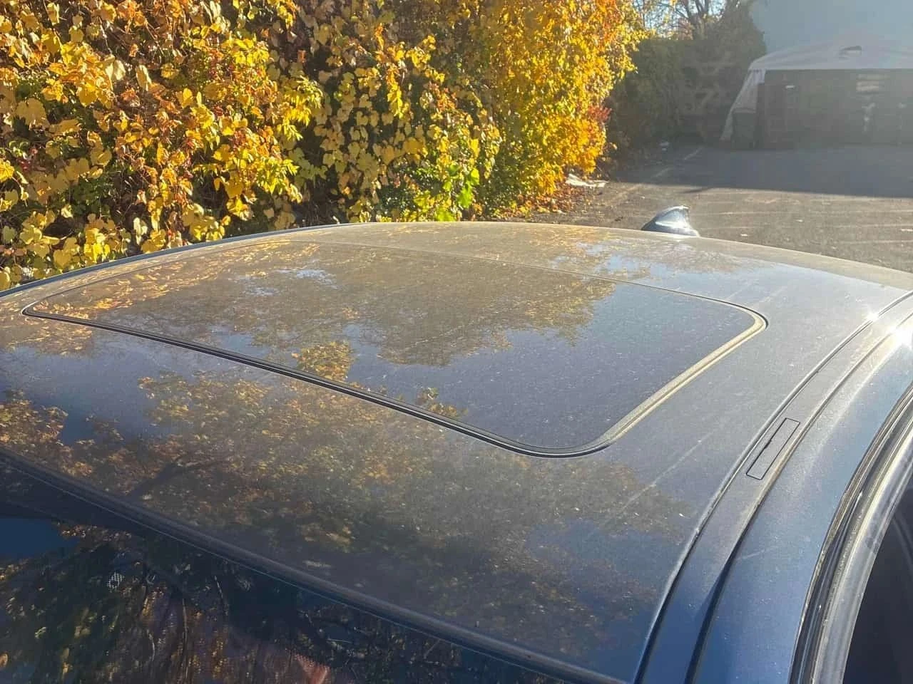 BMW 340, снимка 16 - Автомобили и джипове - 56690921
