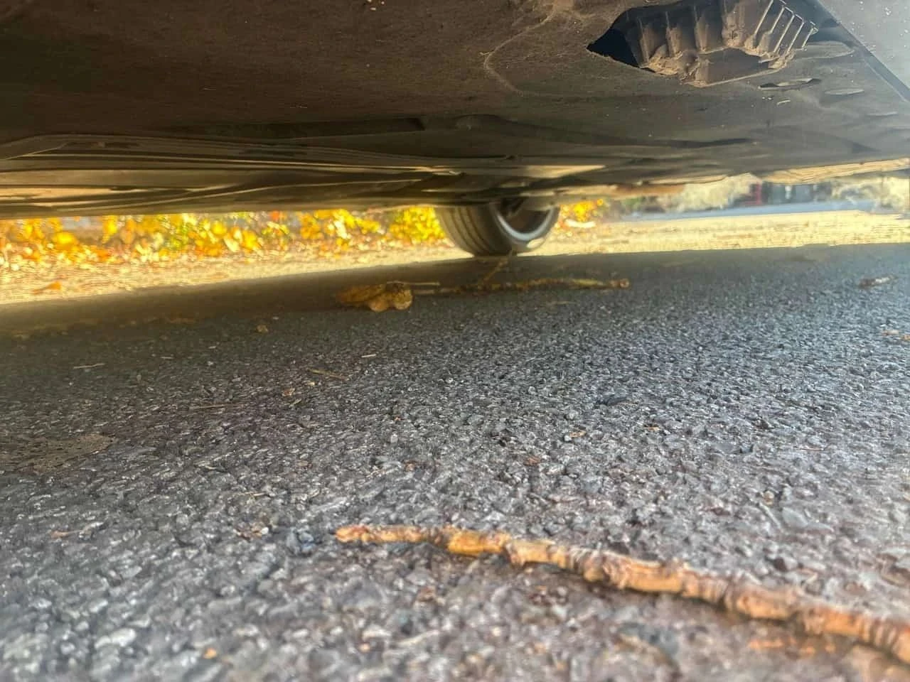 BMW 340, снимка 17 - Автомобили и джипове - 56690921