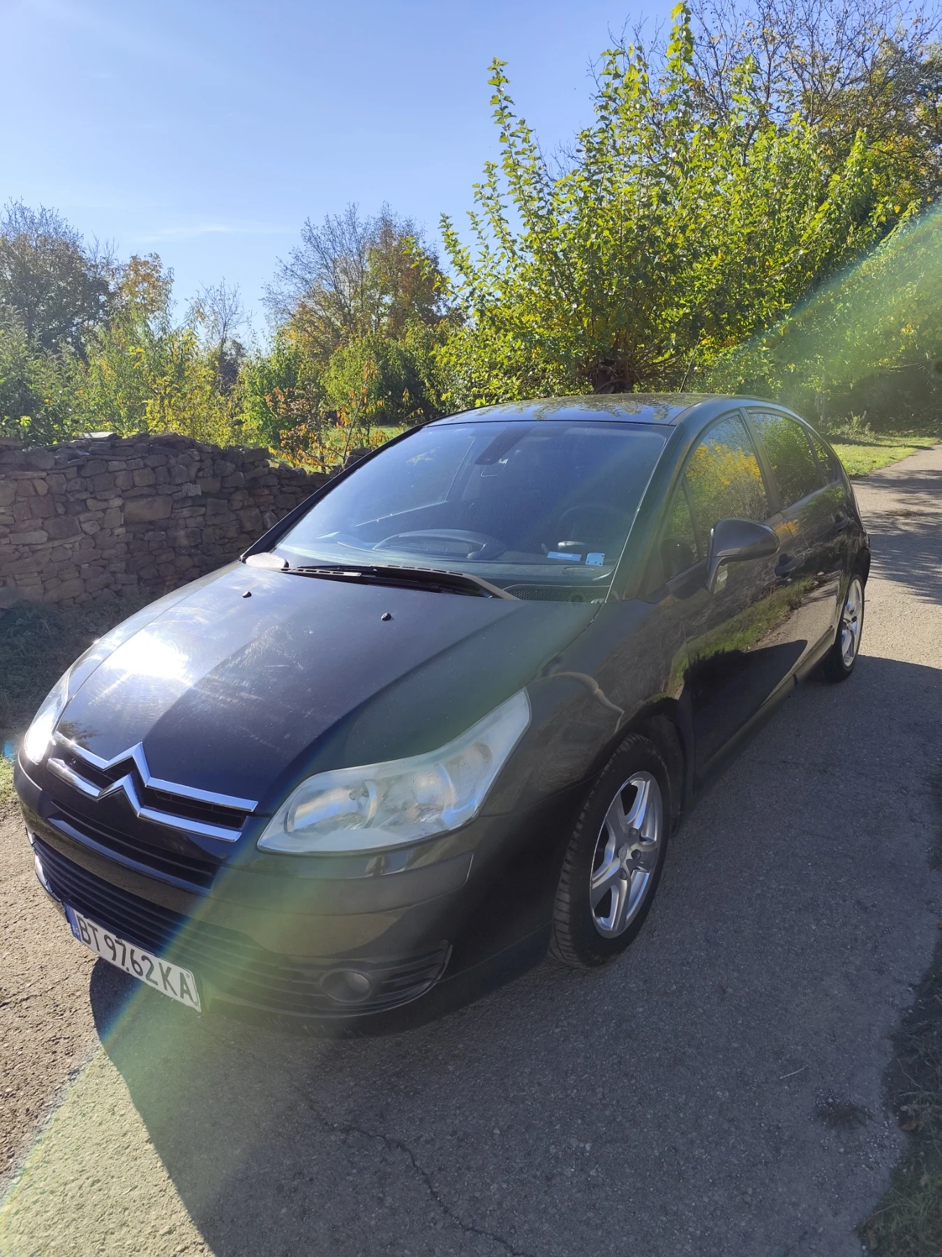Citroen C4, снимка 1