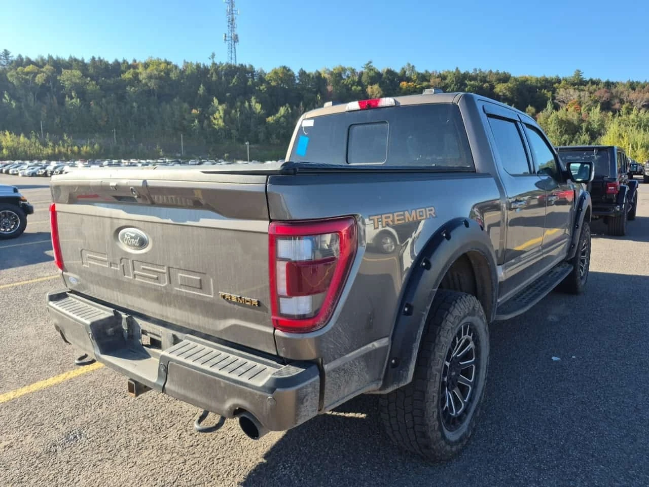 Ford F150 * TREMOR CREW CAB SHORT BED* АВТОКРЕДИТ* , снимка 3 - Автомобили и джипове - 56295116