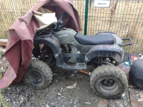 Shineray XY 250, снимка 6