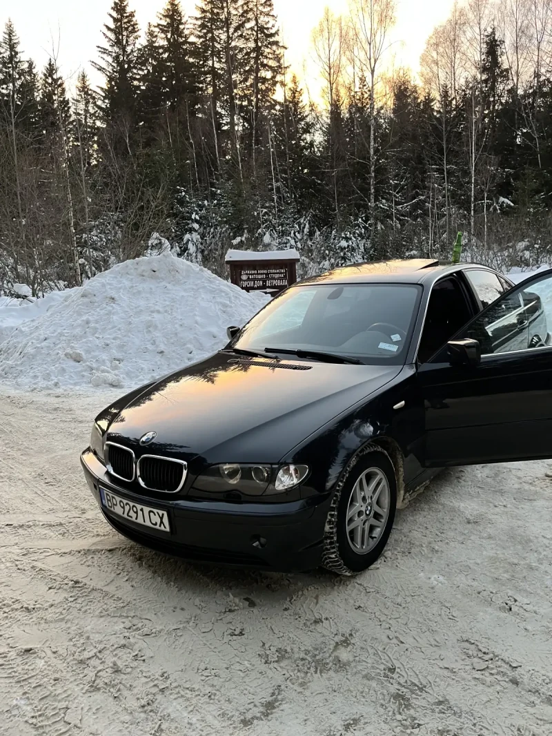 BMW 316, снимка 1 - Автомобили и джипове - 49177014