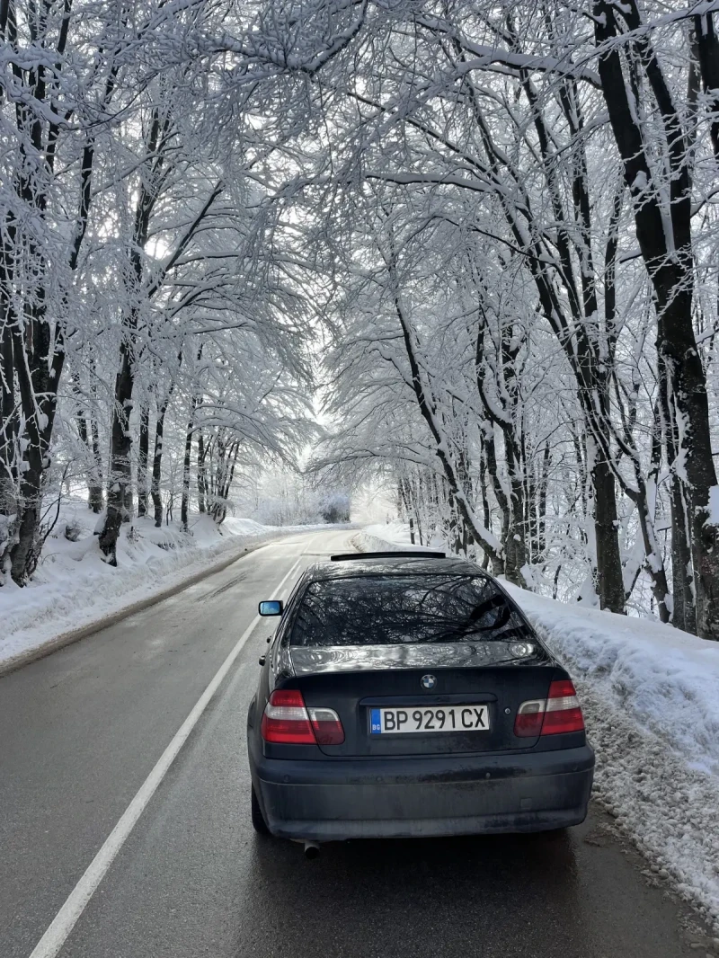 BMW 316, снимка 13 - Автомобили и джипове - 49177014