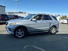 Mercedes-Benz ML 350 BlueTEC | CARFAX | ���������� ��� ������������  | Mobile.bg � ����� ������ 3