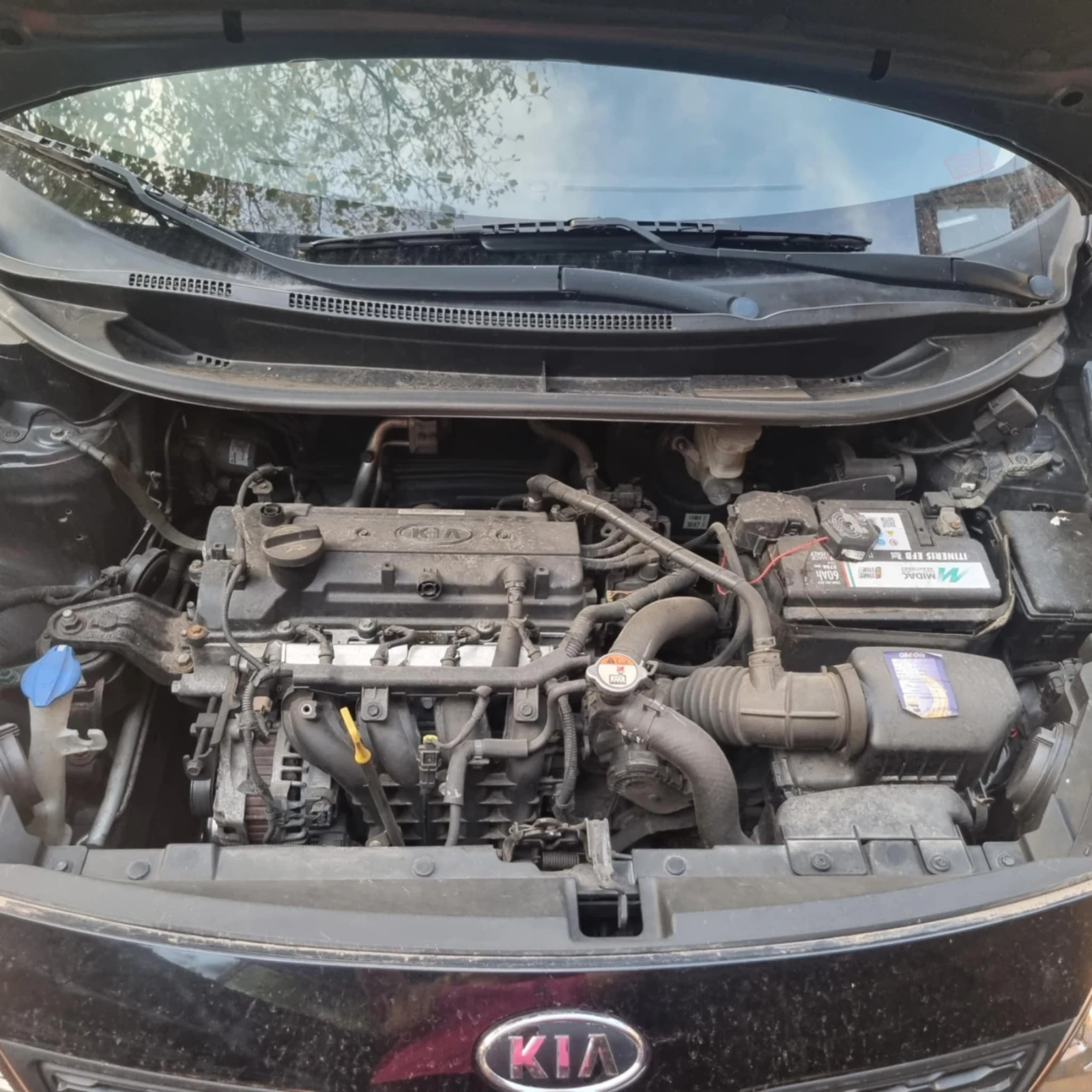 Kia Rio | Mobile.bg � ����������� 12