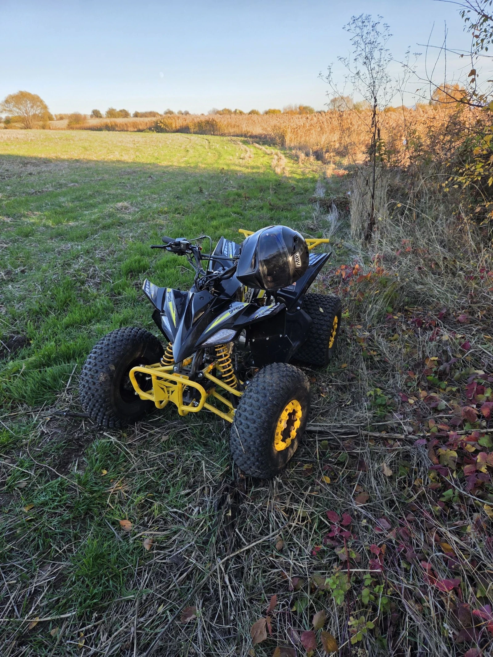 Telstar Sport | Mobile.bg   2