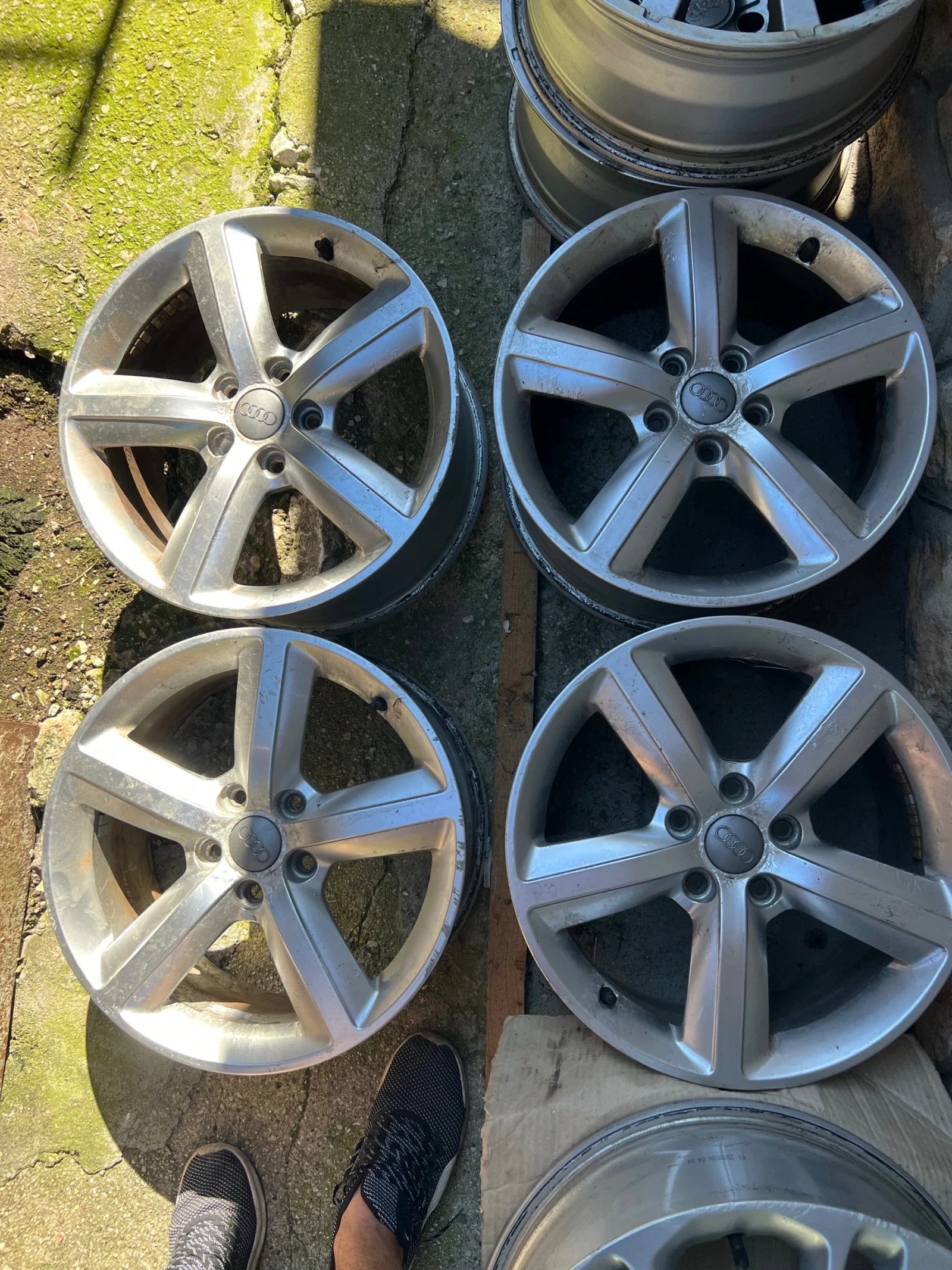 ������ | Mobile.bg � ����������� 5