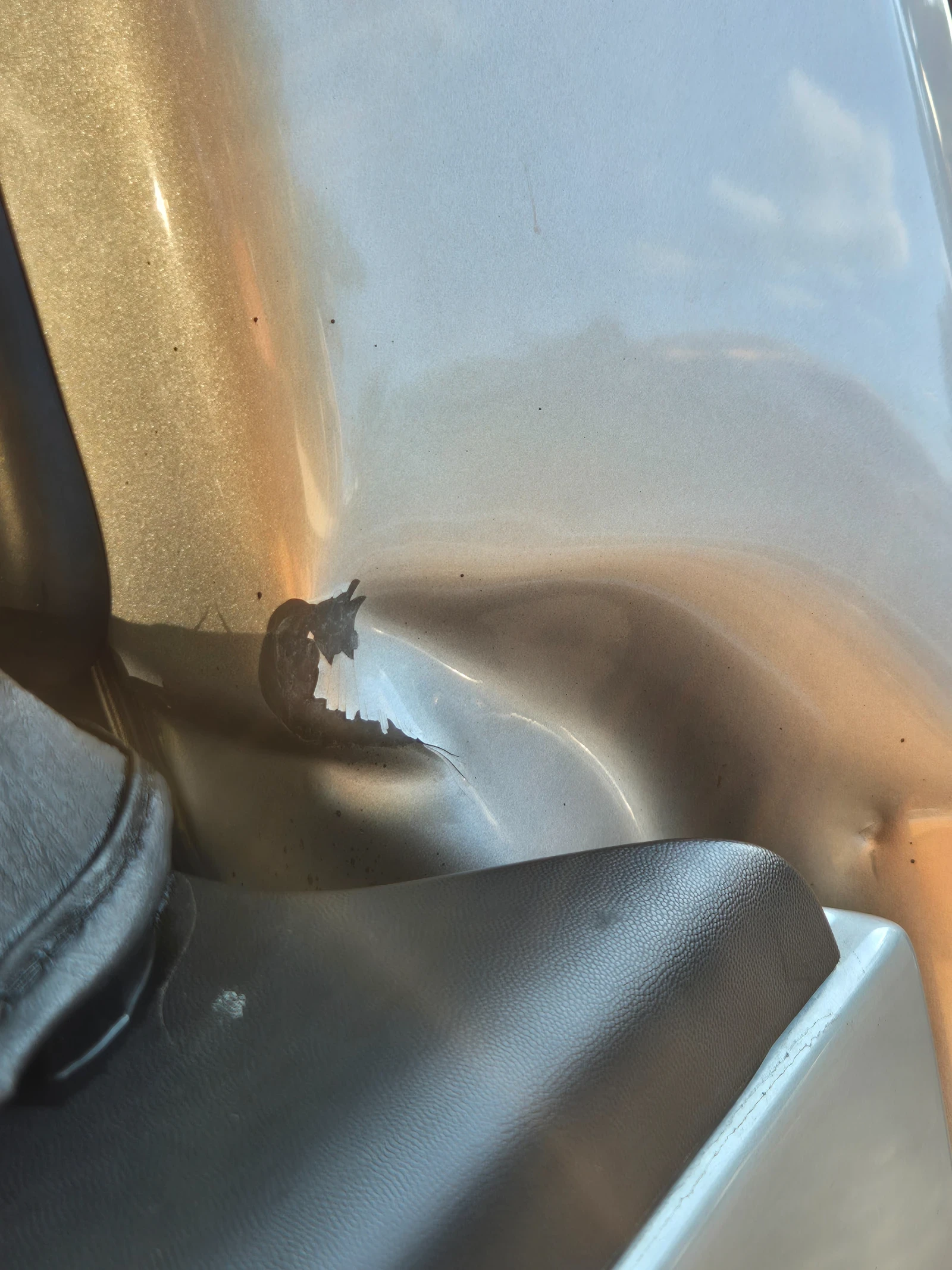 Ford F150 F150 LARIAT 5.0 COYOTE | Mobile.bg   16