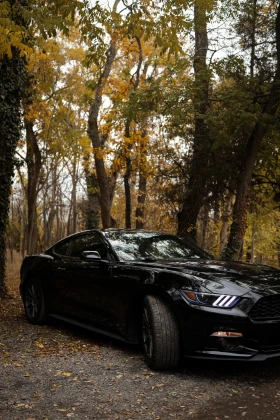 Ford Mustang, снимка 2