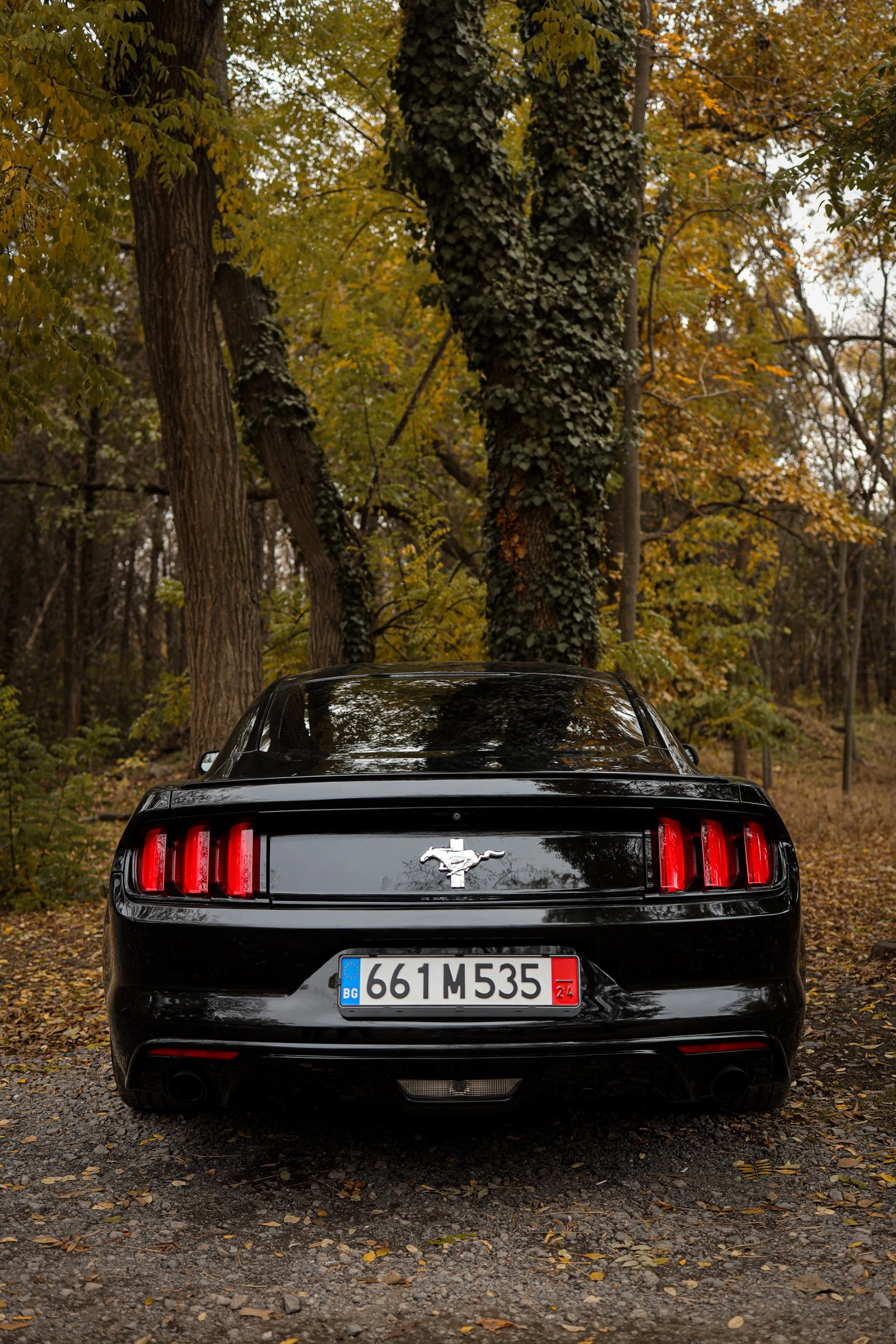 Ford Mustang  - изображение 5