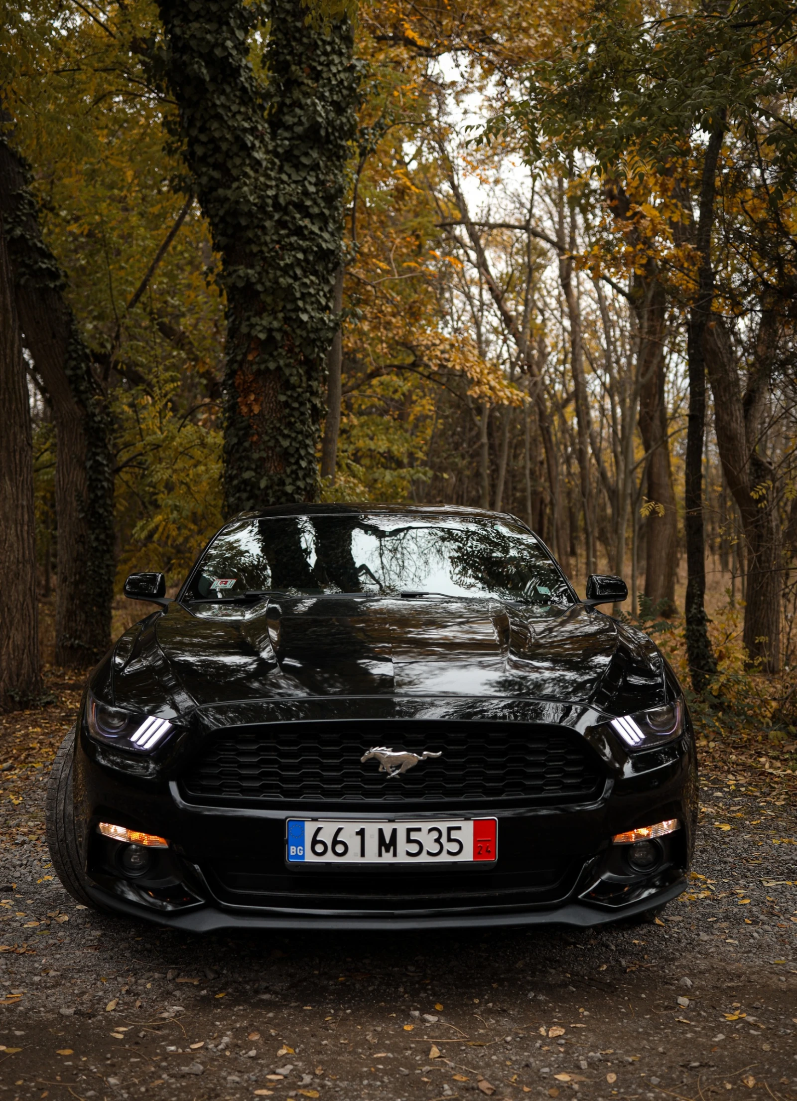 Ford Mustang  - изображение 3