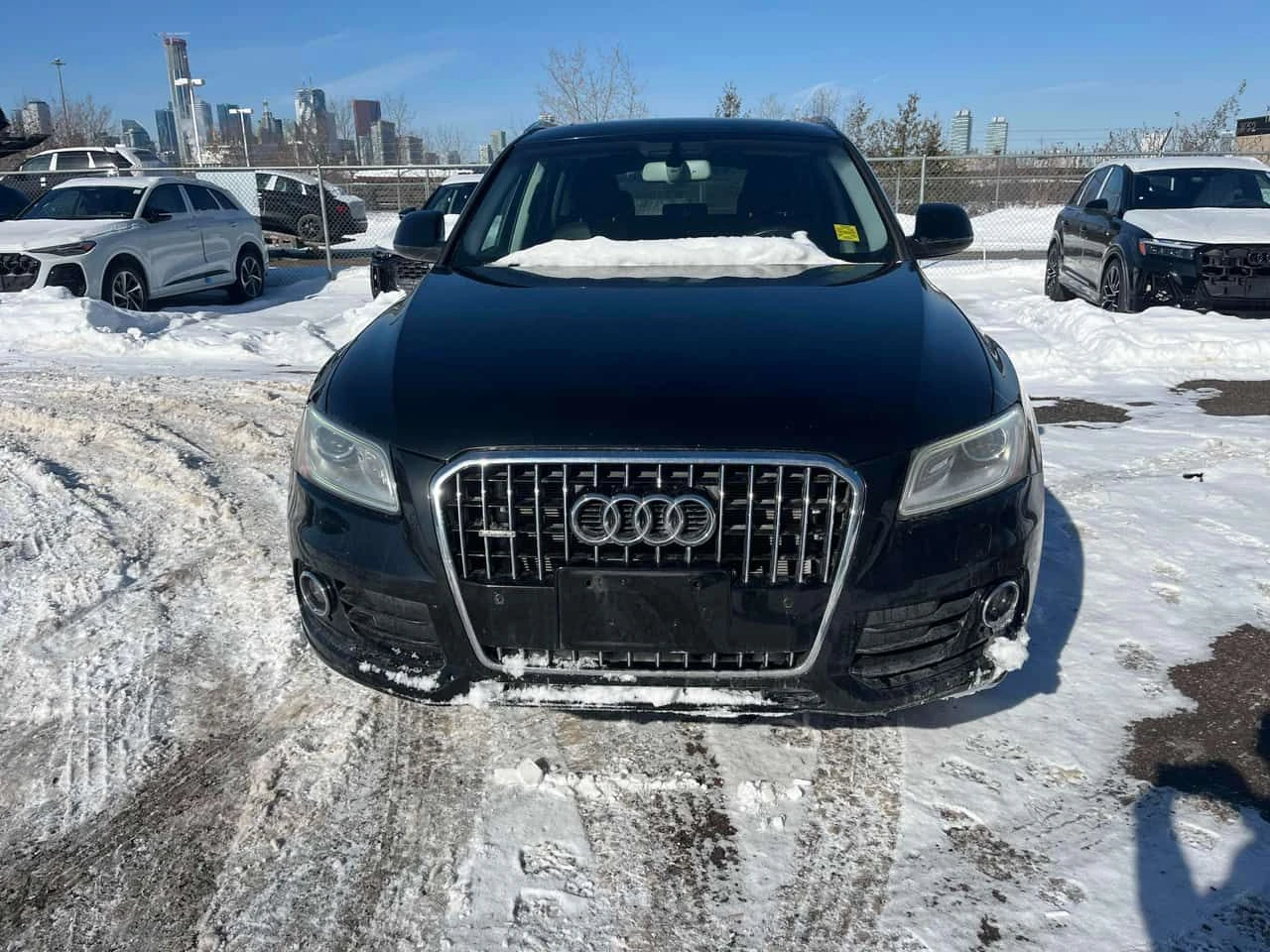 Audi Q5 2.0T Technik/CARFAX/Подгрев/Панорама/Клип, снимка 6 - Автомобили и джипове - 54360979
