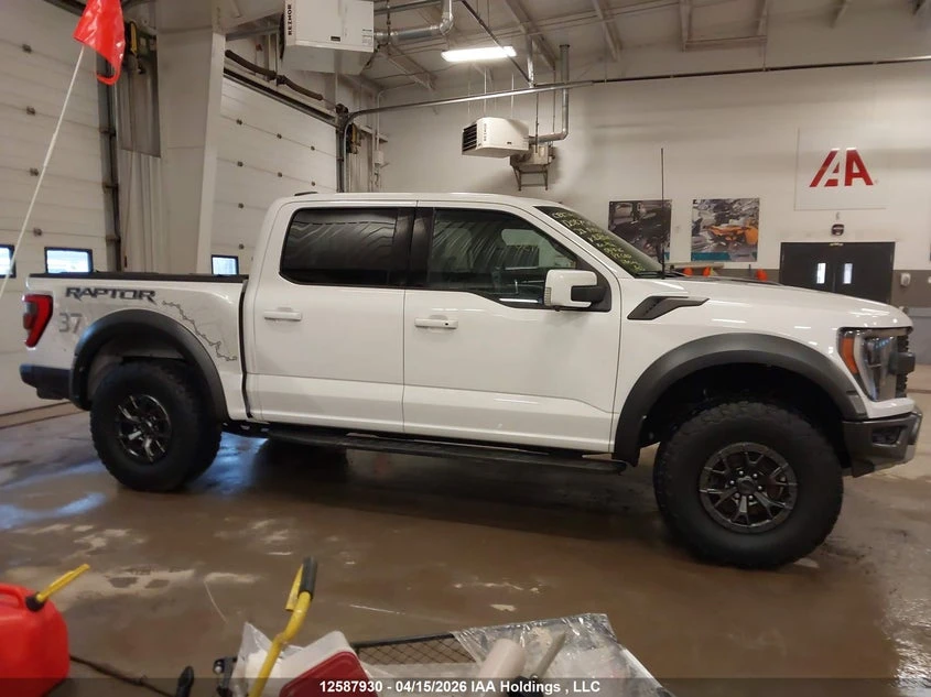 Ford Raptor 3.5l F150, снимка 13 - Автомобили и джипове - 54599357