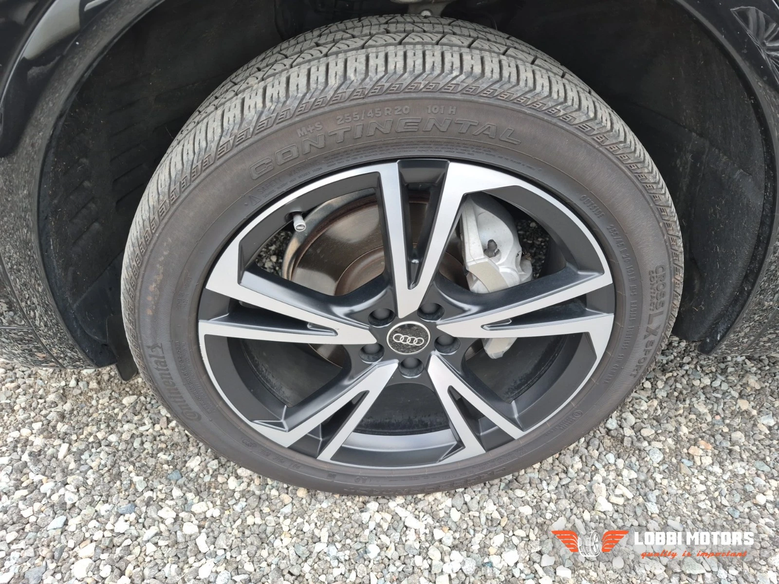 Audi Q5, снимка 6 - Автомобили и джипове - 55955869