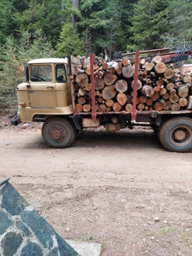 Ifa L   | Mobile.bg    7