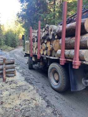 Ifa L   | Mobile.bg    9