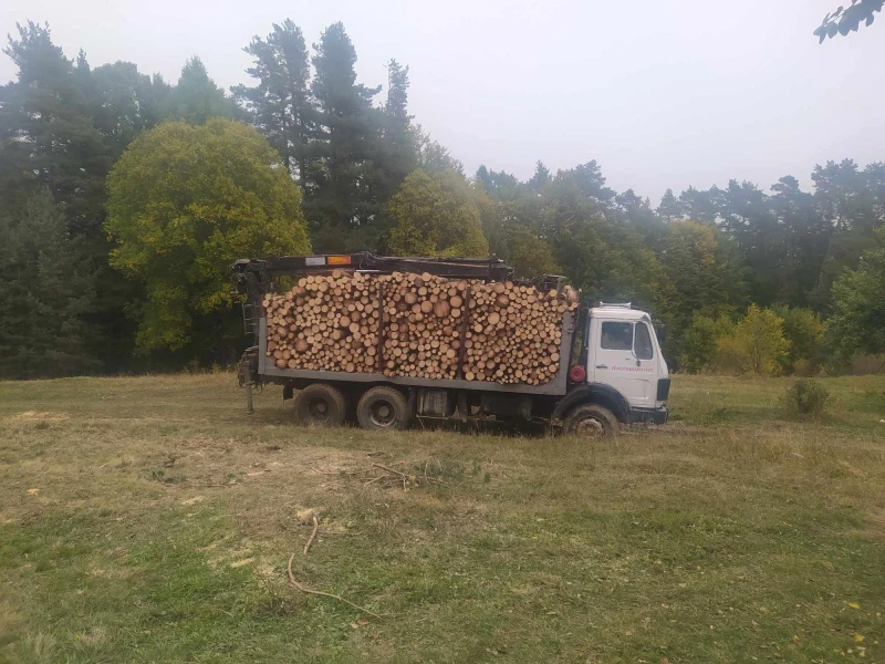 Mercedes-Benz 2228 2228, снимка 3 - Камиони - 47426853