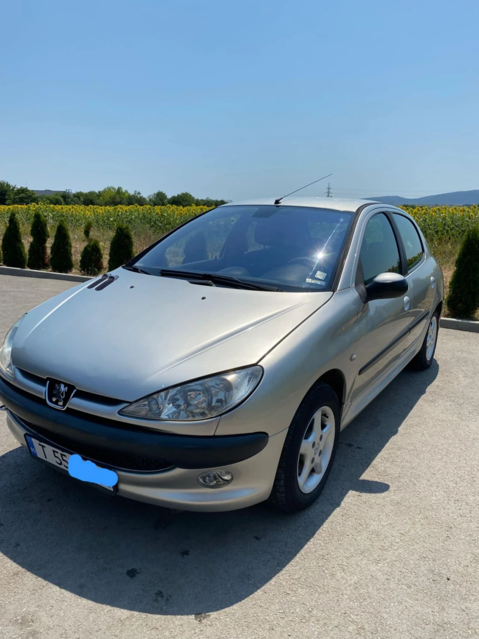 Peugeot 206  - изображение 5