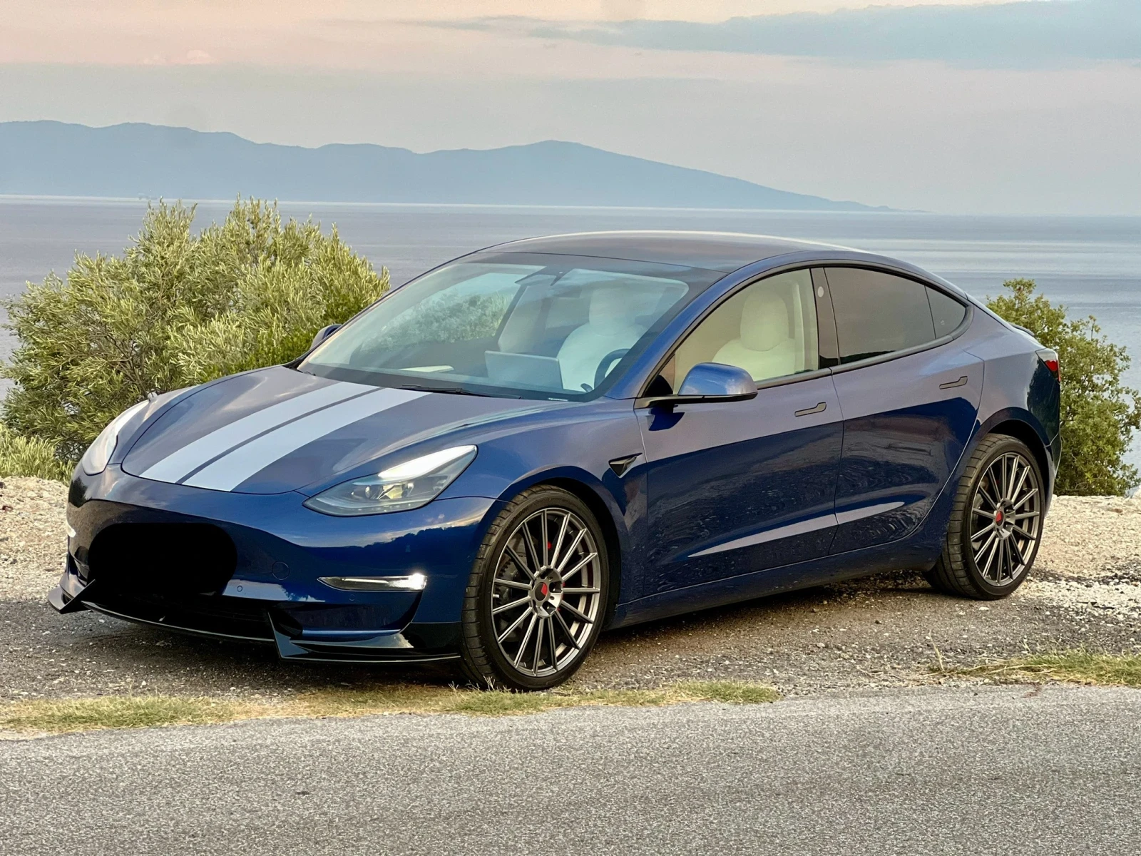 Tesla Model 3 Performance
