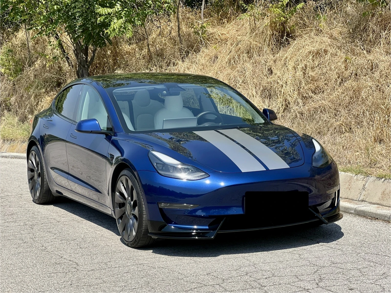 Tesla Model 3 Performance/EU