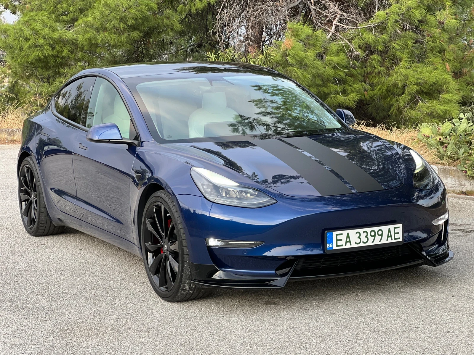 Tesla Model 3 Performance/EU