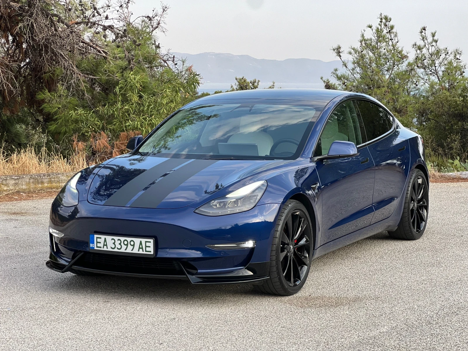 Tesla Model 3 Performance/EU, снимка 2 - Автомобили и джипове - 55930911