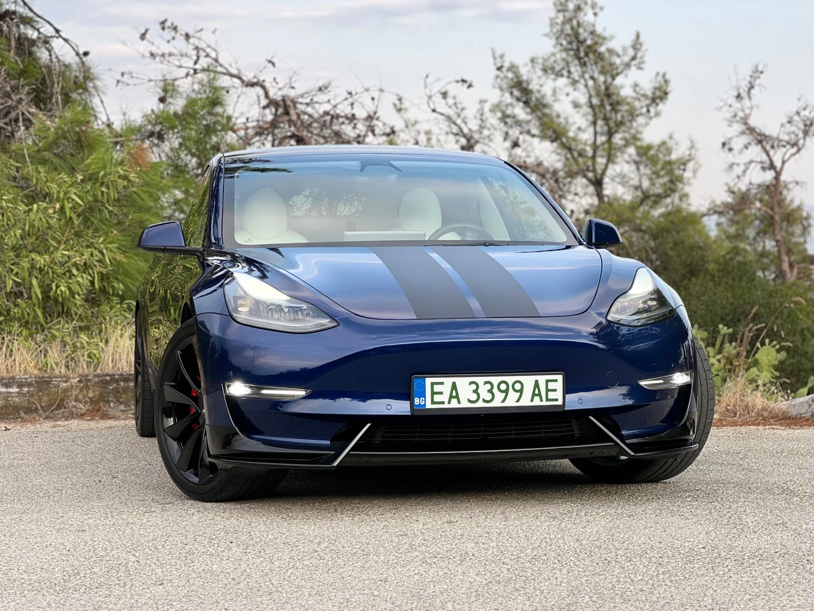 Tesla Model 3 Performance/EU, снимка 4 - Автомобили и джипове - 55930911