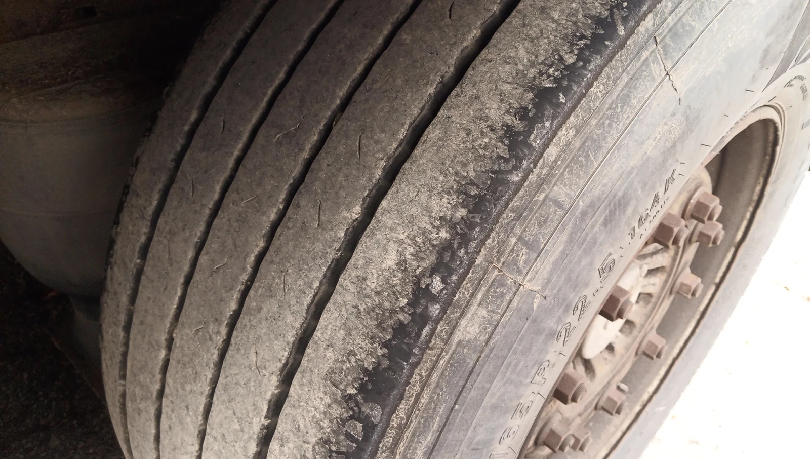 Renault T + Koegel | Mobile.bg   15