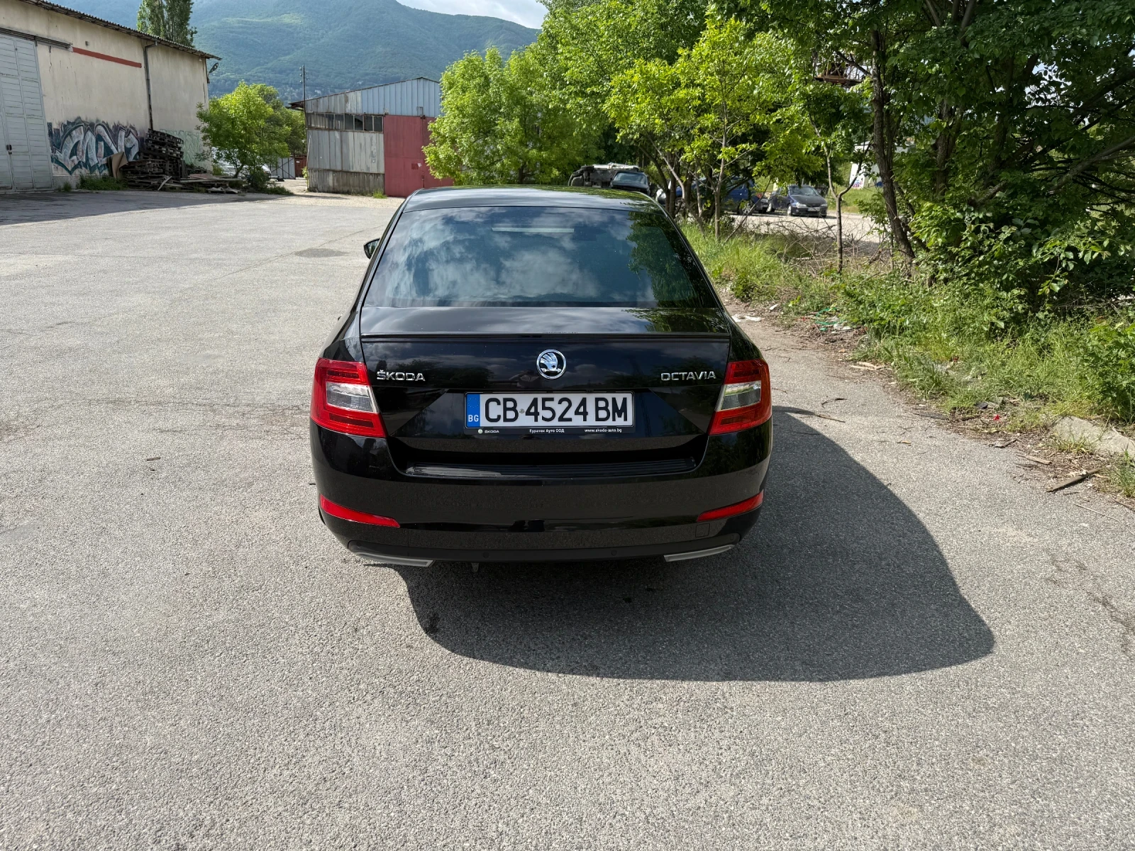 Skoda Octavia 2.0 TDI, N1 - изображение 3