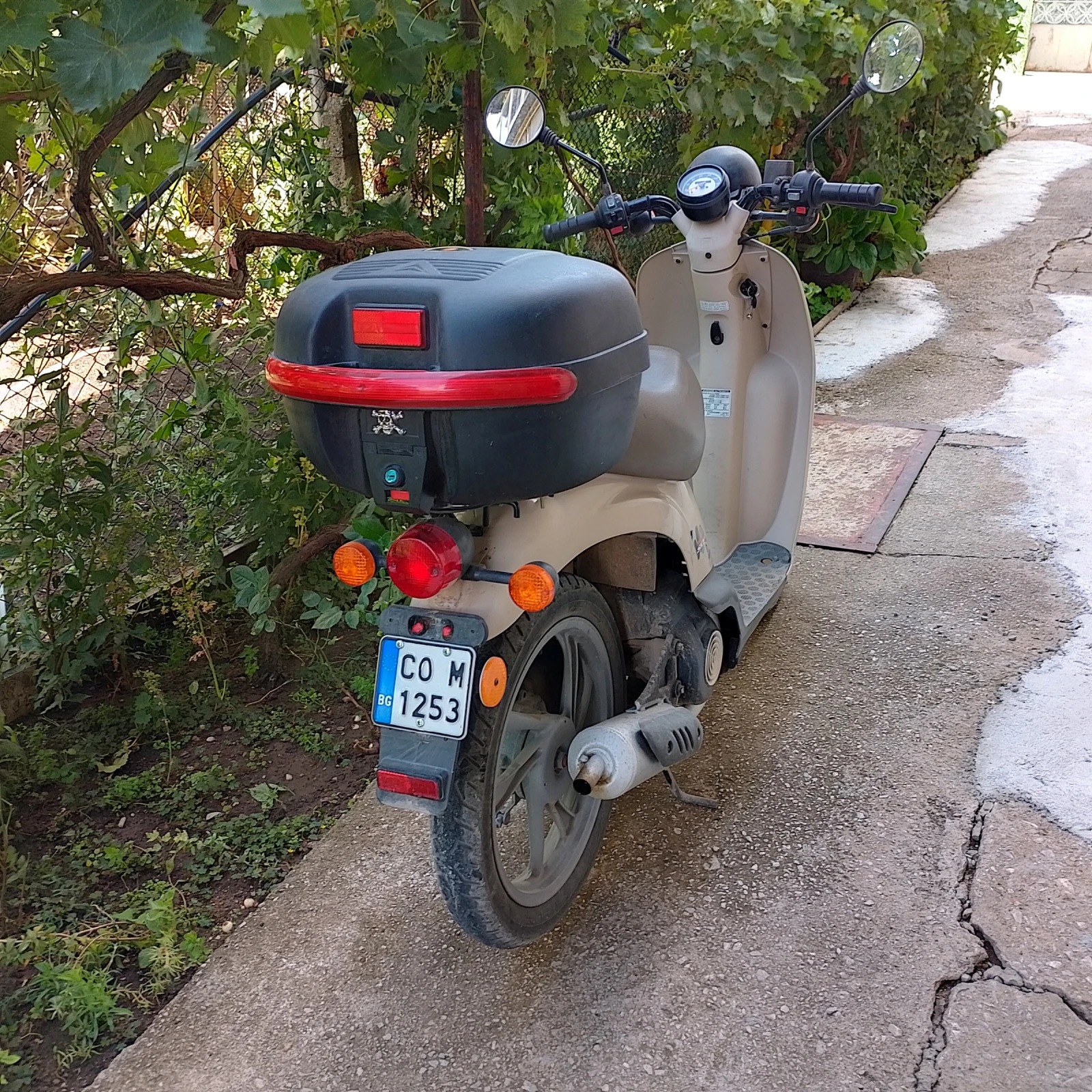 Honda Sky  - изображение 2