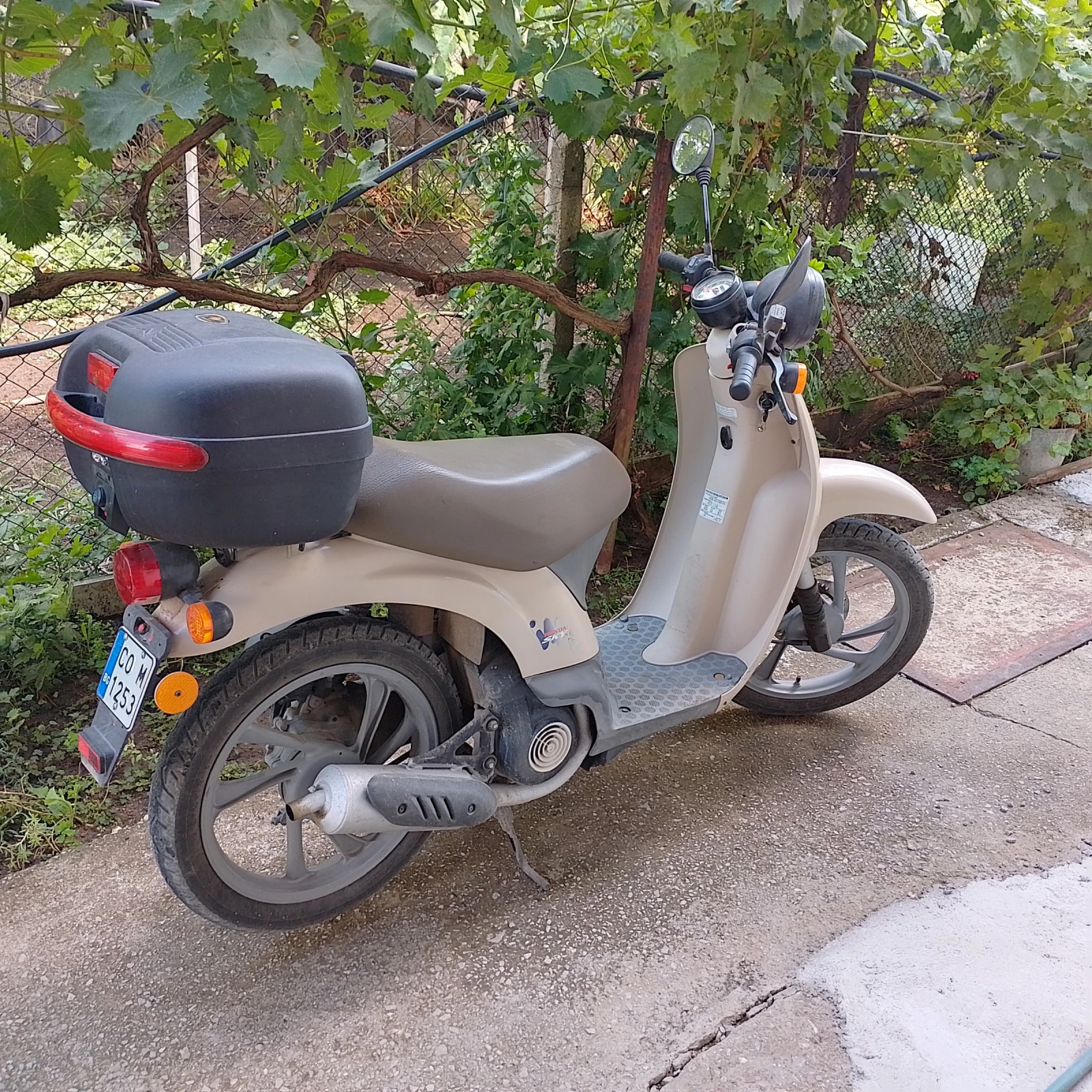 Honda Sky  - изображение 4