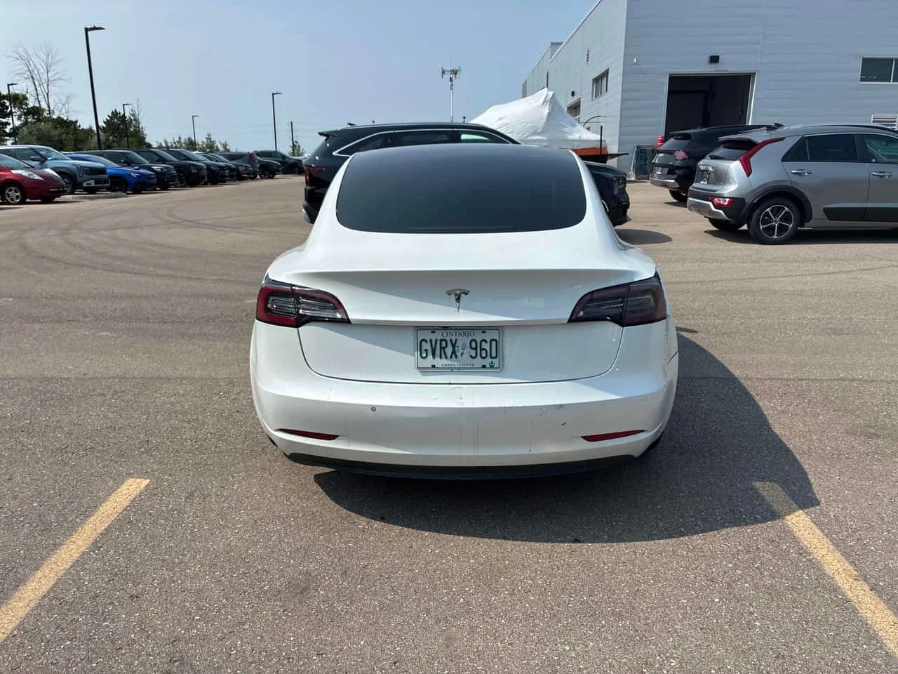 Tesla Model 3 * Standard Range * CARFAX * ОПЦИЯ ЗА ФИНАНСИРАНЕ, снимка 4 - Автомобили и джипове - 55663371
